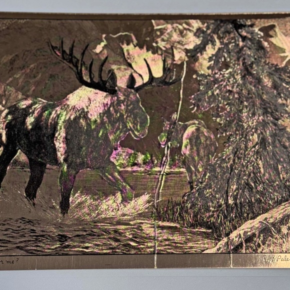 PRINTS, COPPER ETCHED, SET OF 4, BY R.H. PALENSKE, WILD ANIMALS, IN PRESENTATION - Picture 8 of 9